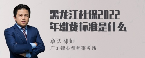 黑龙江社保2022年缴费标准是什么