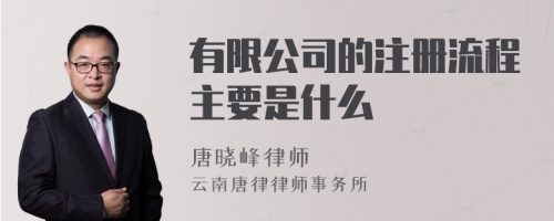 有限公司的注册流程主要是什么