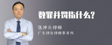 数罪并罚指什么?