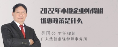 2022年小微企业所得税优惠政策是什么