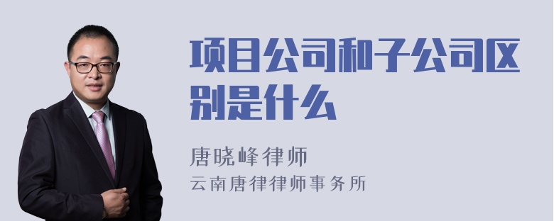 项目公司和子公司区别是什么