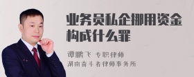 业务员私企挪用资金构成什么罪