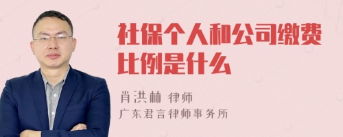 社保个人和公司缴费比例是什么