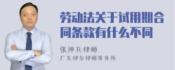 劳动法关于试用期合同条款有什么不同