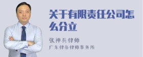 关于有限责任公司怎么分立