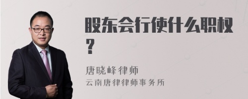 股东会行使什么职权？