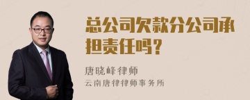 总公司欠款分公司承担责任吗？