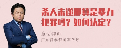 杀人未遂那算是暴力犯罪吗？如何认定？