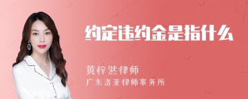 约定违约金是指什么