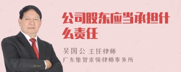 公司股东应当承担什么责任