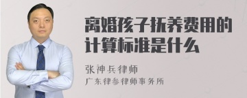 离婚孩子抚养费用的计算标准是什么