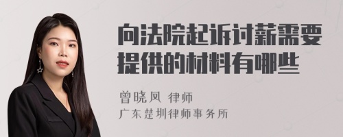 向法院起诉讨薪需要提供的材料有哪些