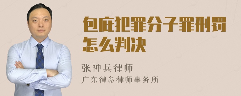 包庇犯罪分子罪刑罚怎么判决