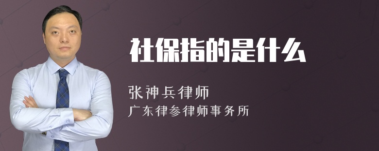 社保指的是什么