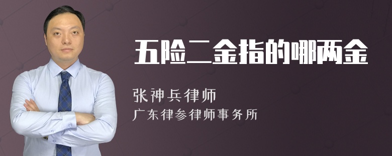 五险二金指的哪两金