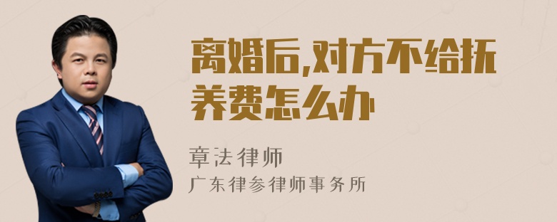 离婚后,对方不给抚养费怎么办