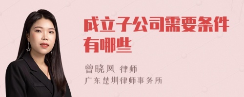 成立子公司需要条件有哪些