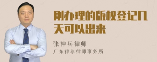 刚办理的版权登记几天可以出来