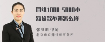 网络1000-5000小额贷款不还怎么样