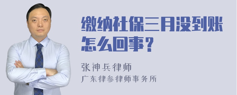 缴纳社保三月没到账怎么回事？