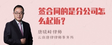 签合同的是分公司怎么起诉？