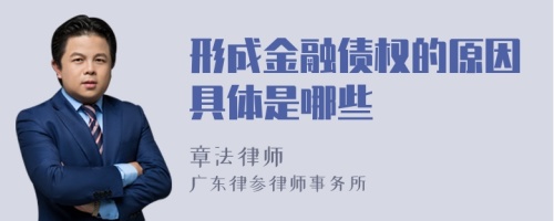 形成金融债权的原因具体是哪些