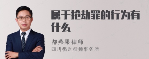 属于抢劫罪的行为有什么