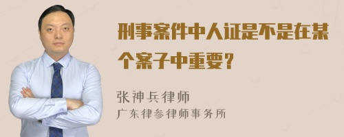 刑事案件中人证是不是在某个案子中重要？