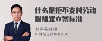 什么是拒不支付劳动报酬罪立案标准