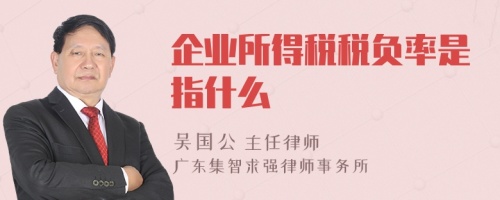 企业所得税税负率是指什么