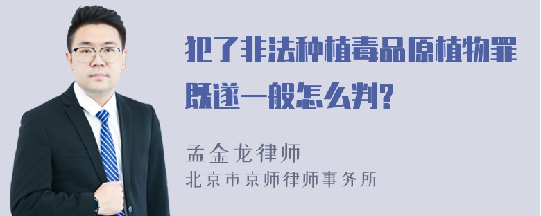 犯了非法种植毒品原植物罪既遂一般怎么判?