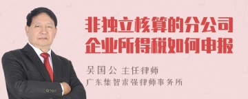 非独立核算的分公司企业所得税如何申报