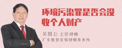 环境污染罪是否会没收个人财产