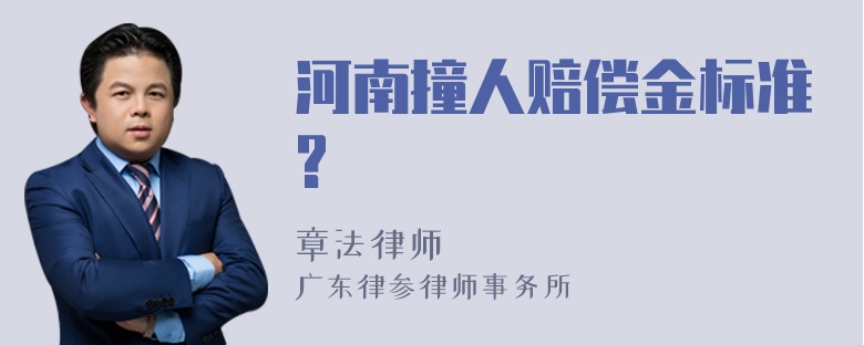 河南撞人赔偿金标准?