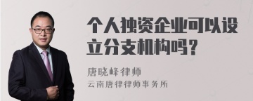 个人独资企业可以设立分支机构吗？