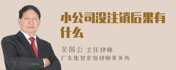 小公司没注销后果有什么