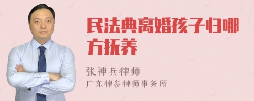 民法典离婚孩子归哪方抚养