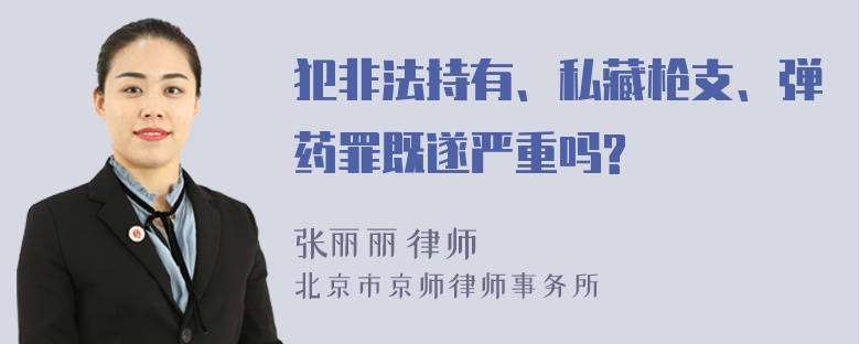 犯非法持有、私藏枪支、弹药罪既遂严重吗?