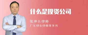 什么是投资公司