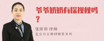 爷爷奶奶有探视权吗？