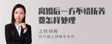 离婚后一方不给抚养费怎样处理