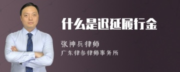 什么是迟延履行金