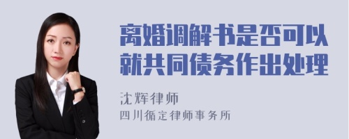 离婚调解书是否可以就共同债务作出处理