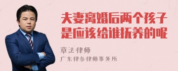 夫妻离婚后两个孩子是应该给谁抚养的呢