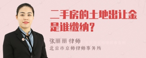 二手房的土地出让金是谁缴纳？