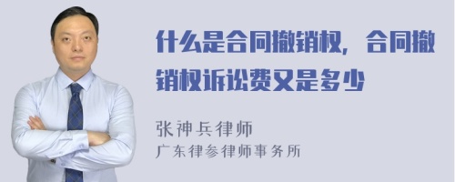 什么是合同撤销权，合同撤销权诉讼费又是多少