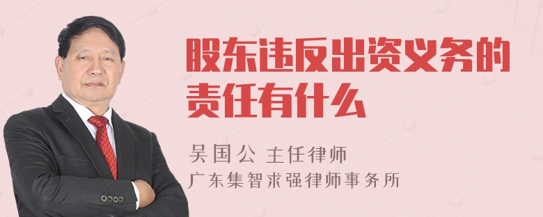 股东违反出资义务的责任有什么