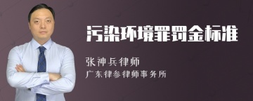 污染环境罪罚金标准