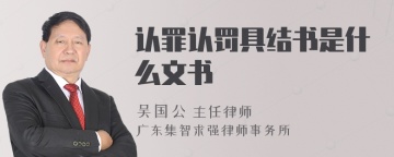 认罪认罚具结书是什么文书