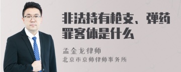 非法持有枪支、弹药罪客体是什么